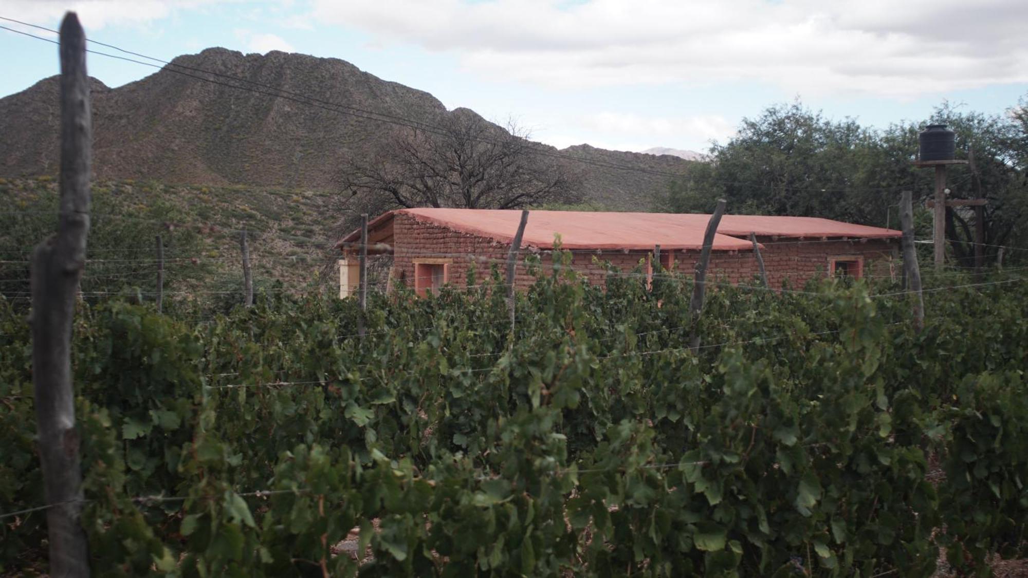 Hospedaje Finca La Encantada Seclantás Kültér fotó